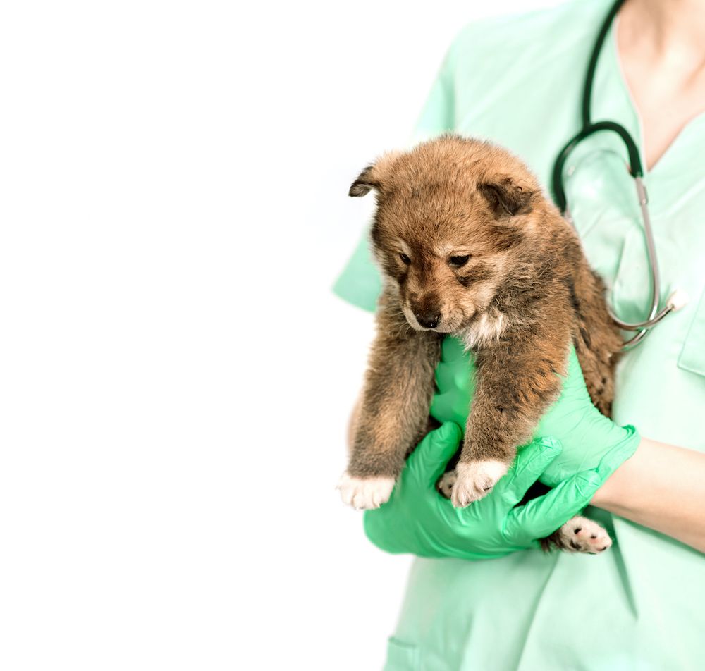 The Gossip Column, June 4, 2021